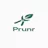 Prunr