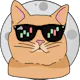MeowCharts