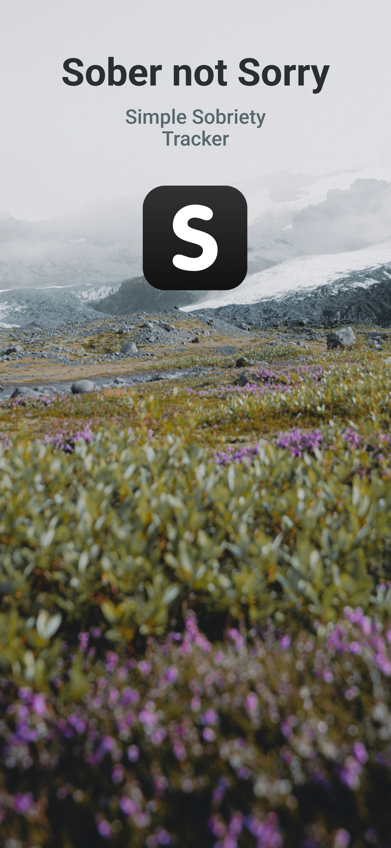 Sober not Sorry gallery image