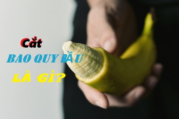 Cat bao quy dau bao lau quan he duoc