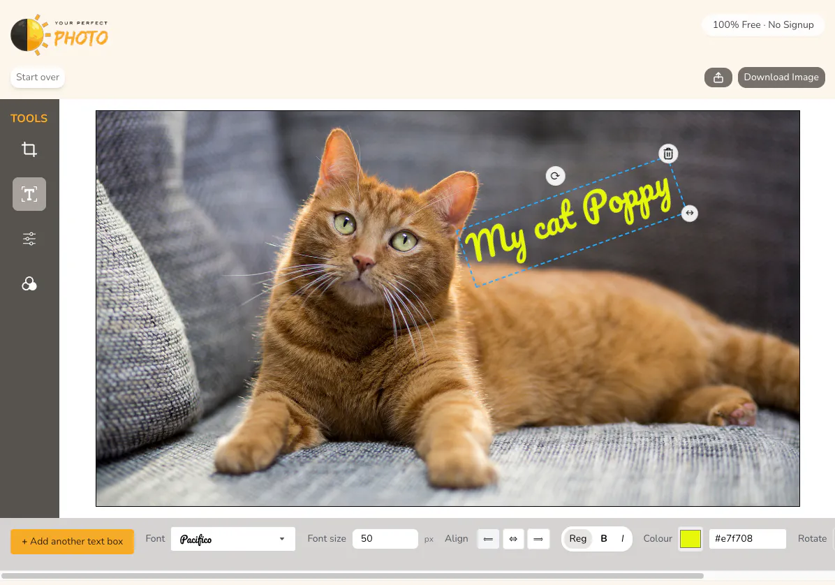 Your Perfect Photo Free Image Editor gallery image