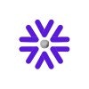 IcyPluto logo