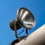 LED Bulbs