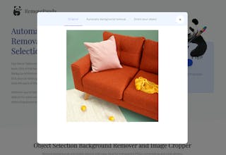 RemovePanda gallery image