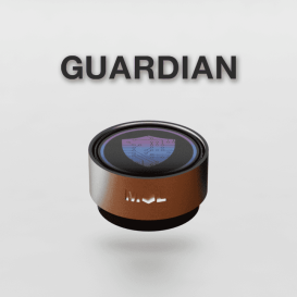 Guardian: um gerenciador de senhas offline