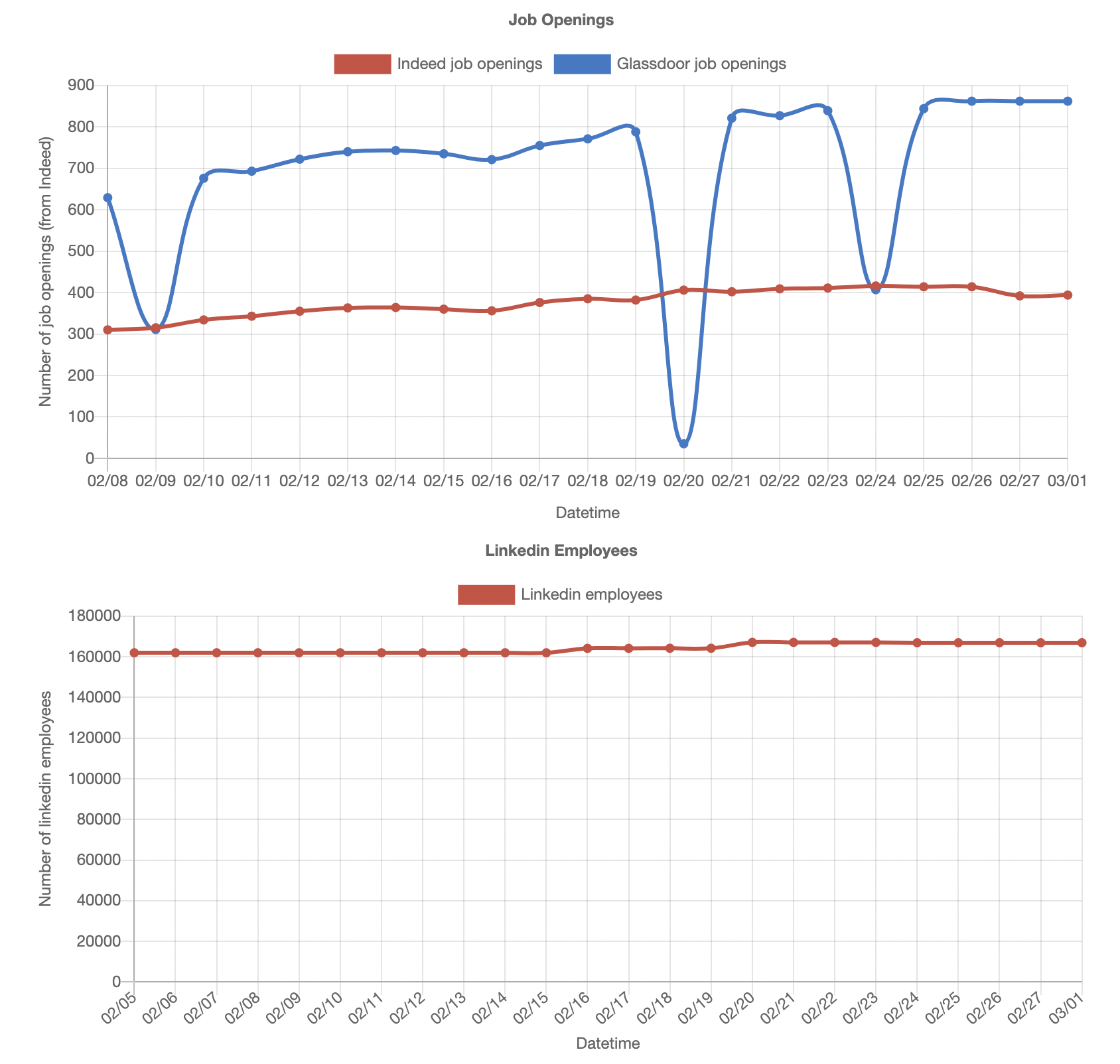 Contora gallery image