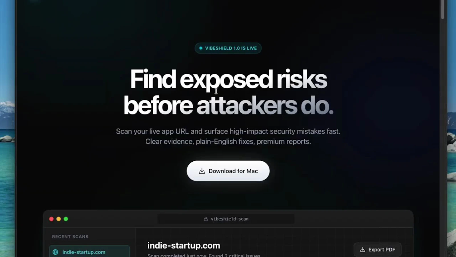 VibeShield screenshot 1 (video preview)