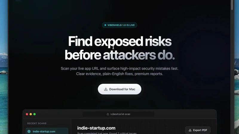 VibeShield screenshot 1 (video preview)