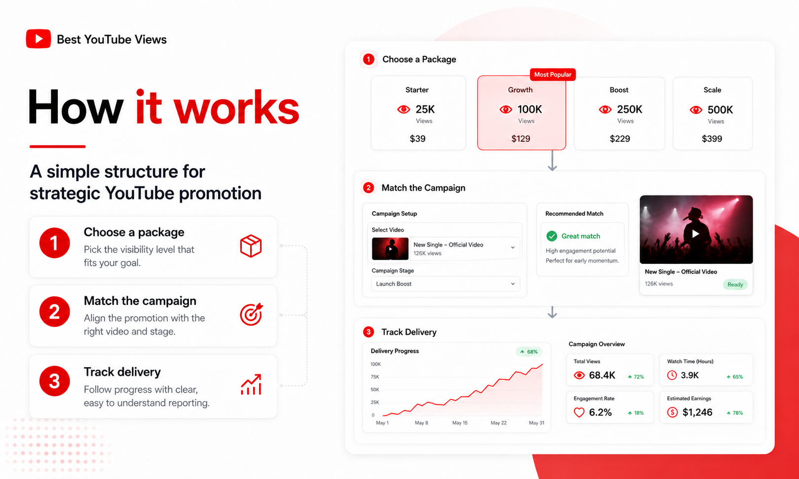 Monetizable YouTube Views gallery image