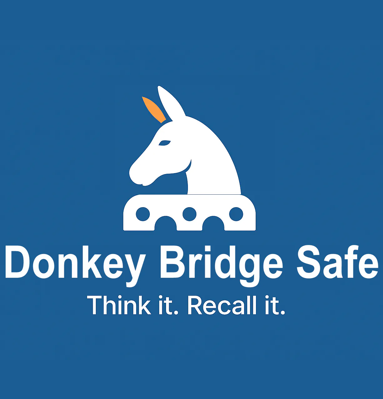 Donkey Bridge Safe