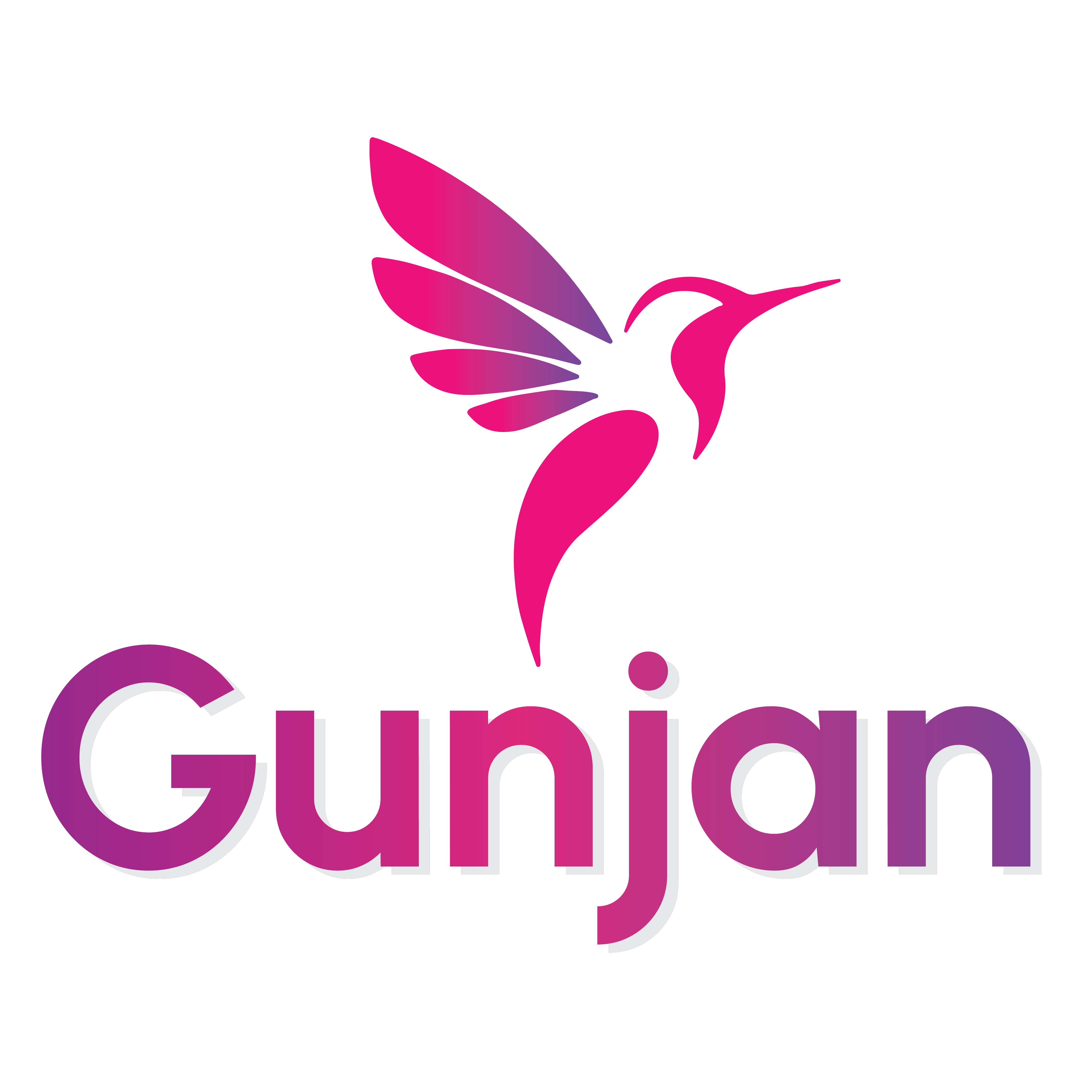 Application Gunjan