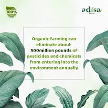 Organic Food Products Online inHyderabad gallery image