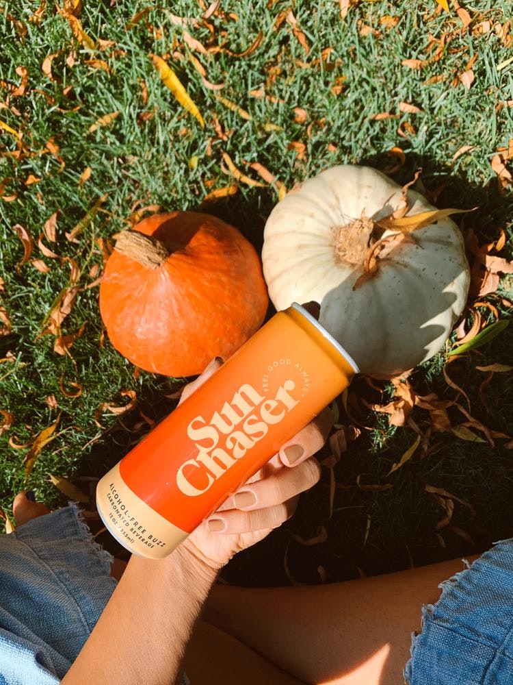 Sun Chaser gallery image