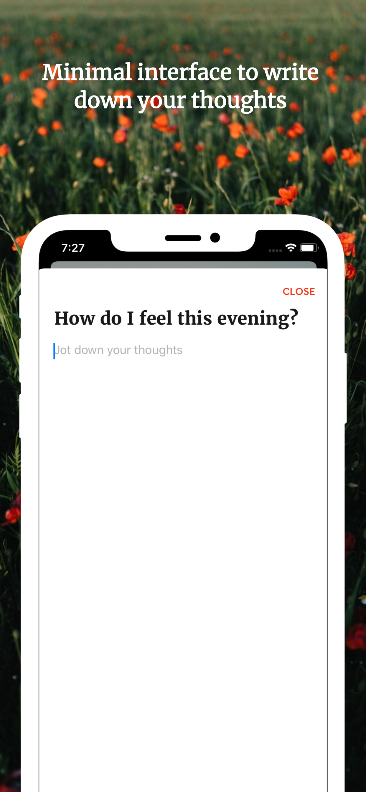 Daily Journal gallery image