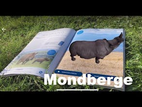 genARate gallery image