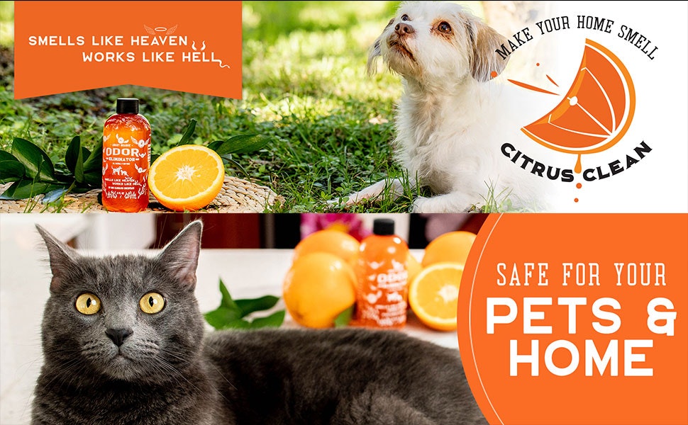 20% OFF Angry Orange coupons 2023