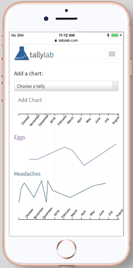 TallyLab gallery image