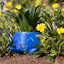 Oddish Planter