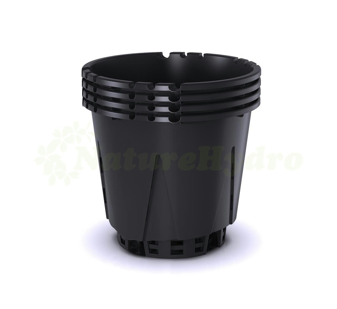 Blaubeeranbau Pot media 2