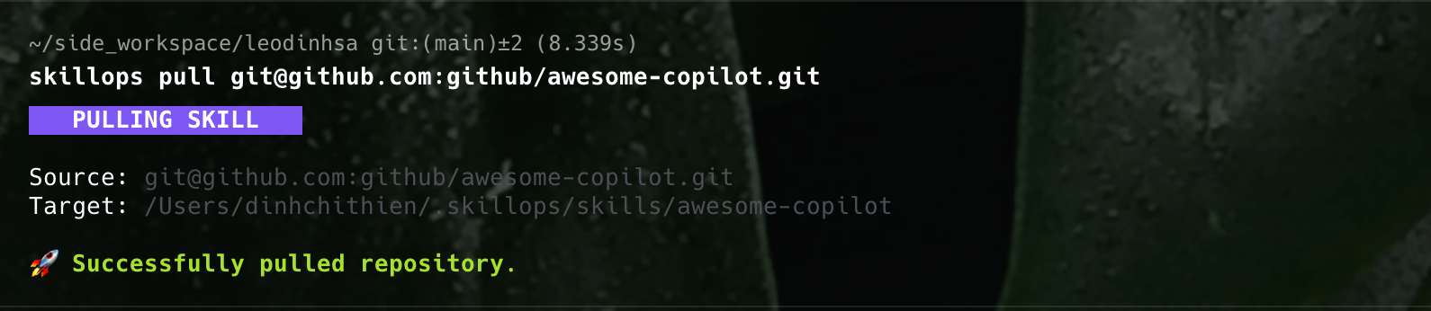 SkillOps gallery image