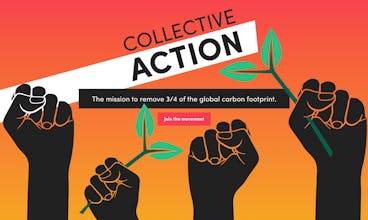 Ecologi gallery image