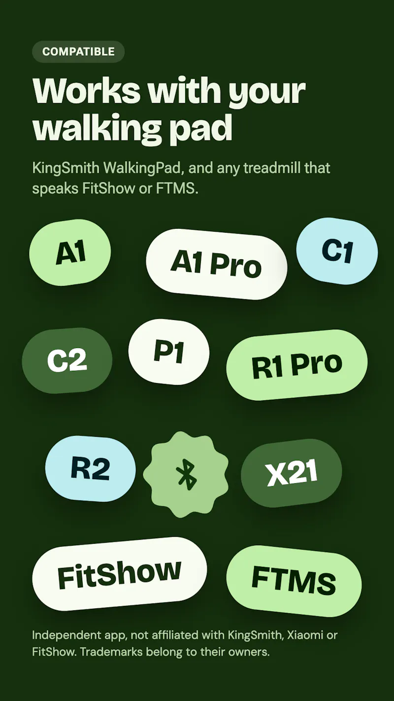 Zancada screenshot 3
