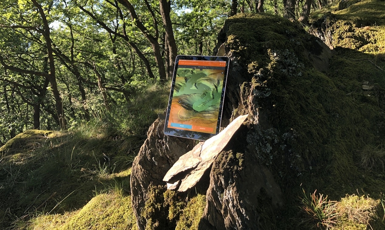 planlauf/MOCKUP gallery image