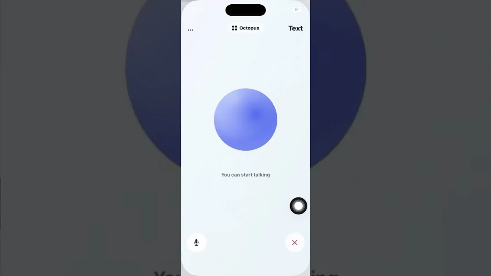 Octopus: Codex Code App screenshot 1 (video preview)