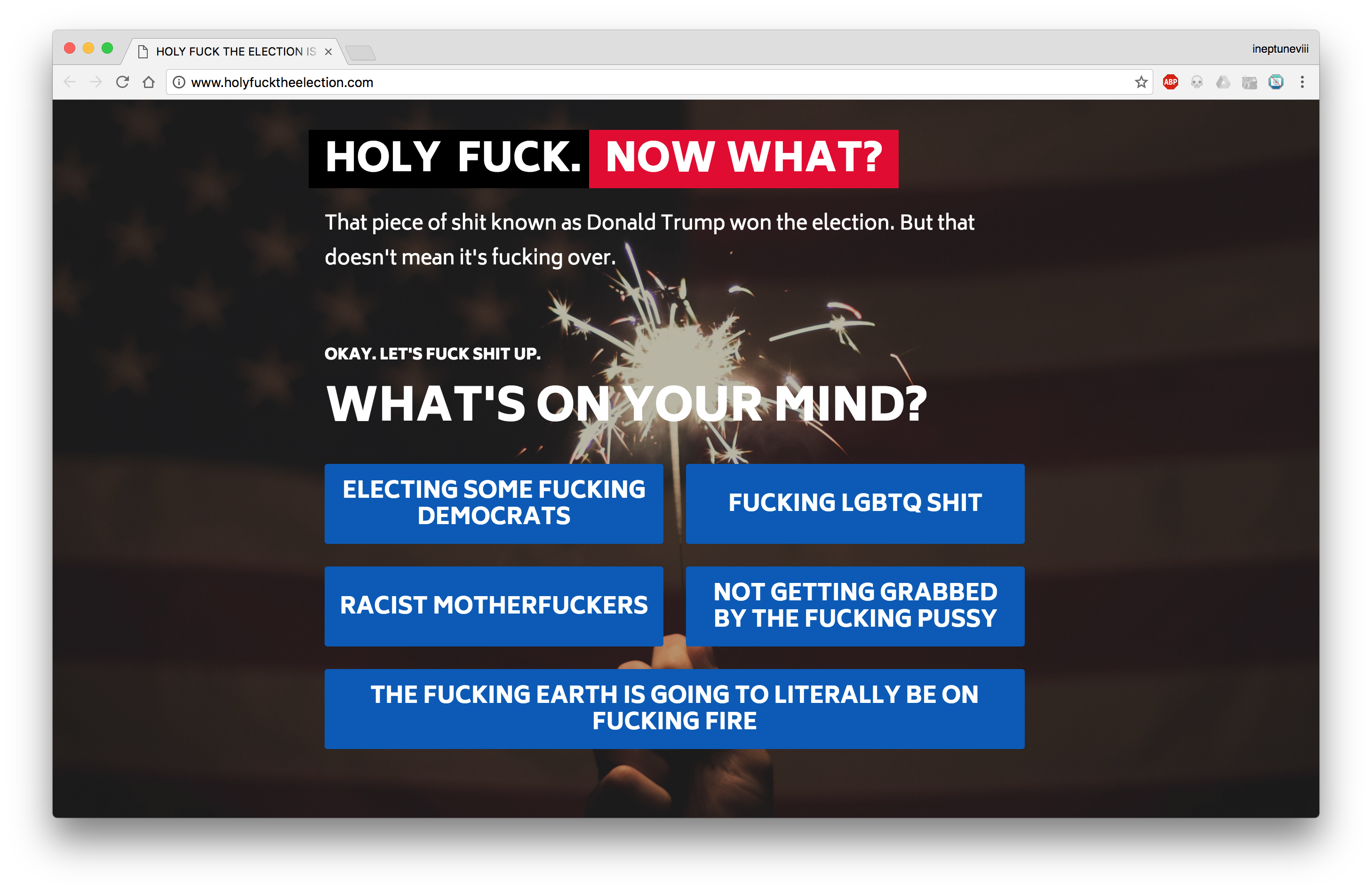 Holy F*ck The Election gallery image