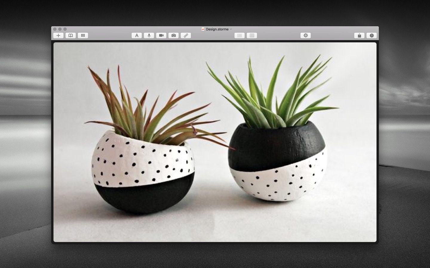 Storme gallery image