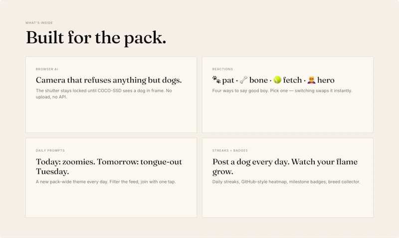 Pupgram screenshot 5
