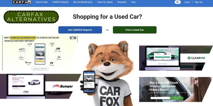 alternativetoo.com gallery image