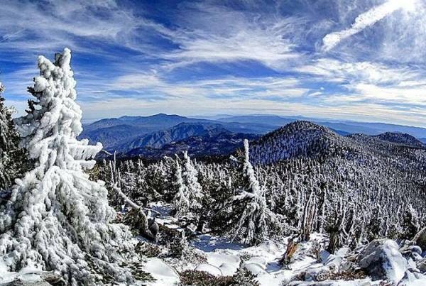 Memory Health Test gallery image