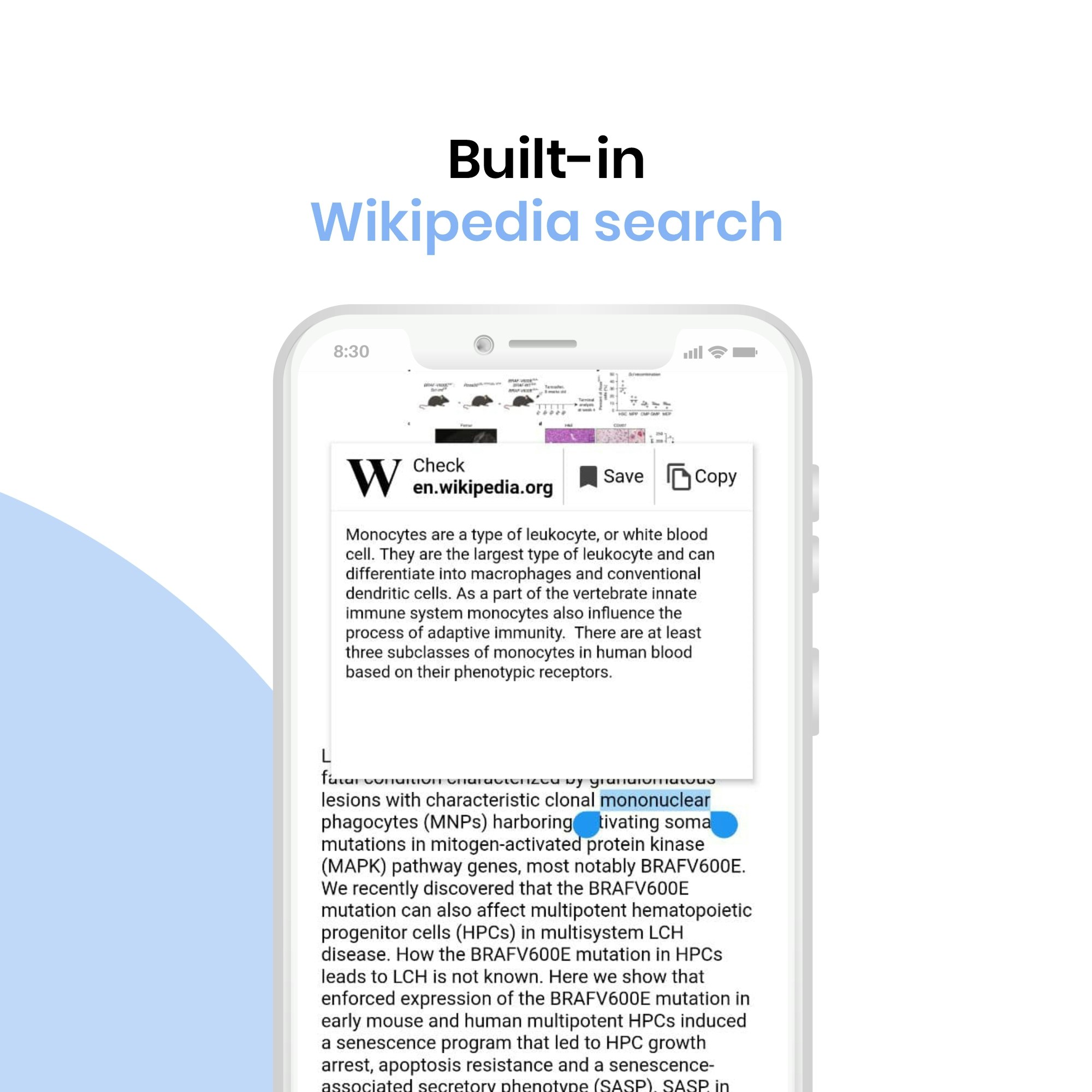 Allpapers gallery image