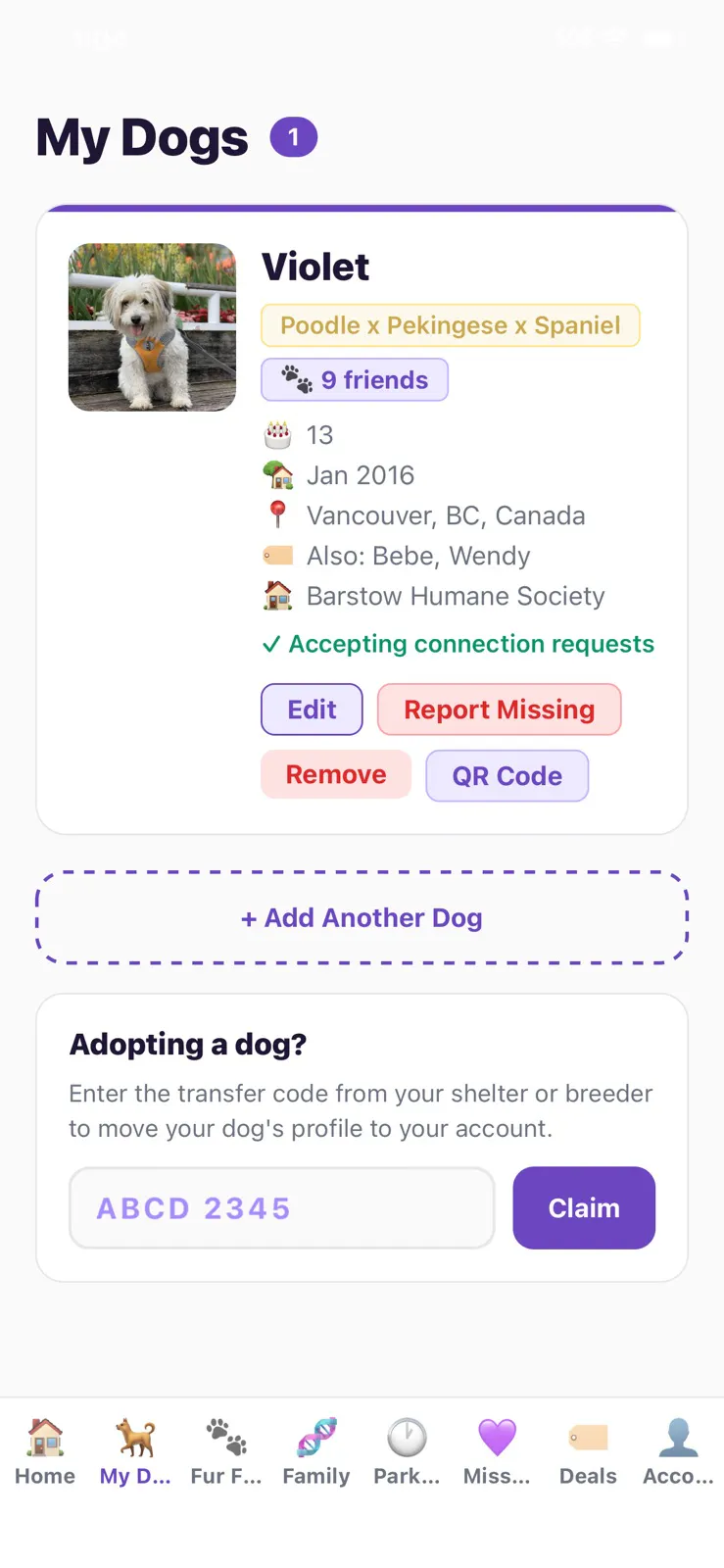 DogDynasty gallery image