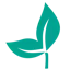 CashSprout