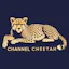 Channel Cheetah