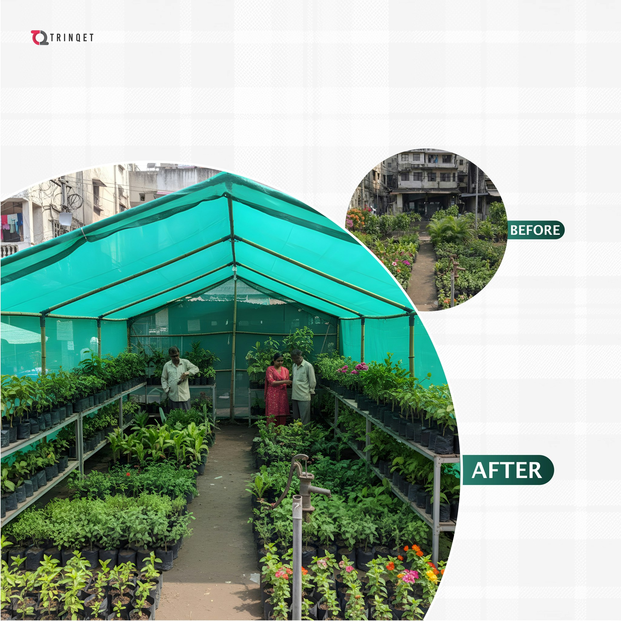 6x6mt Green Shade Net with Nylon Belt  gallery image