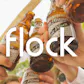 Flock Trips