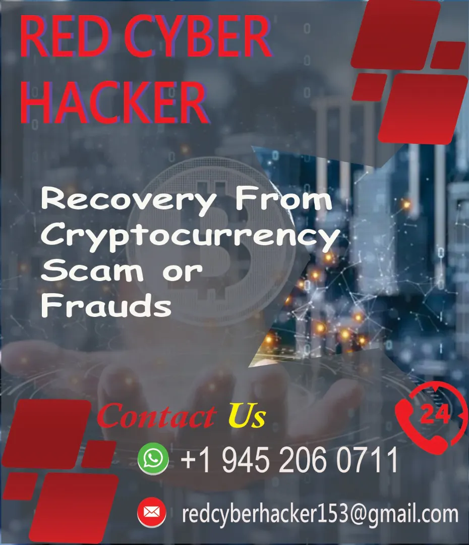 RED CYBER HACKER gallery image