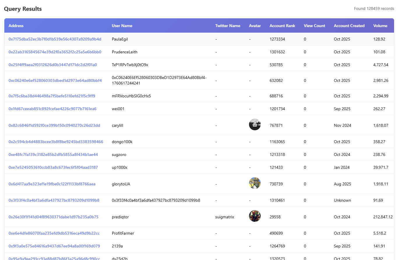 Polymarket Data Query System gallery image
