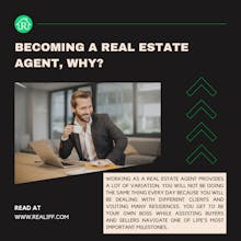 Realiff gallery image