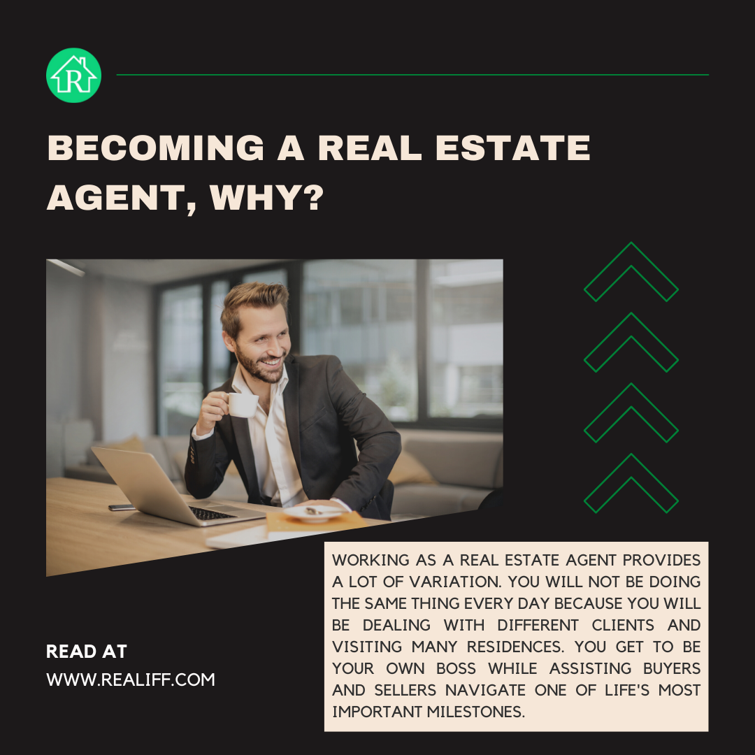 Realiff - Compagnia immobiliare media 3