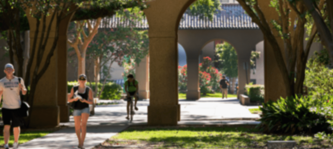 Transtutors gallery image