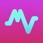 MoneyVoice