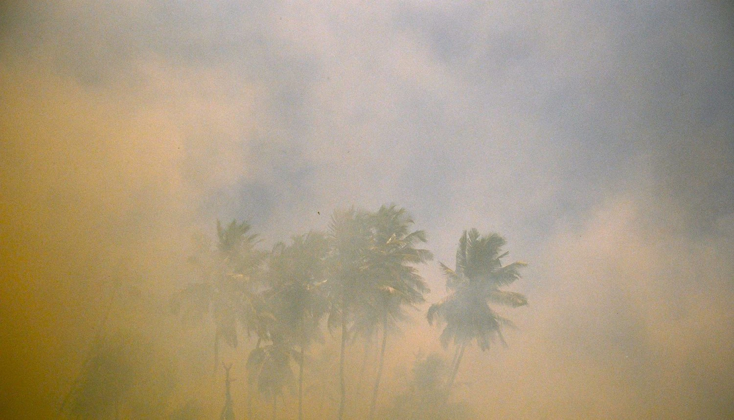 Danny Fiorentini cover