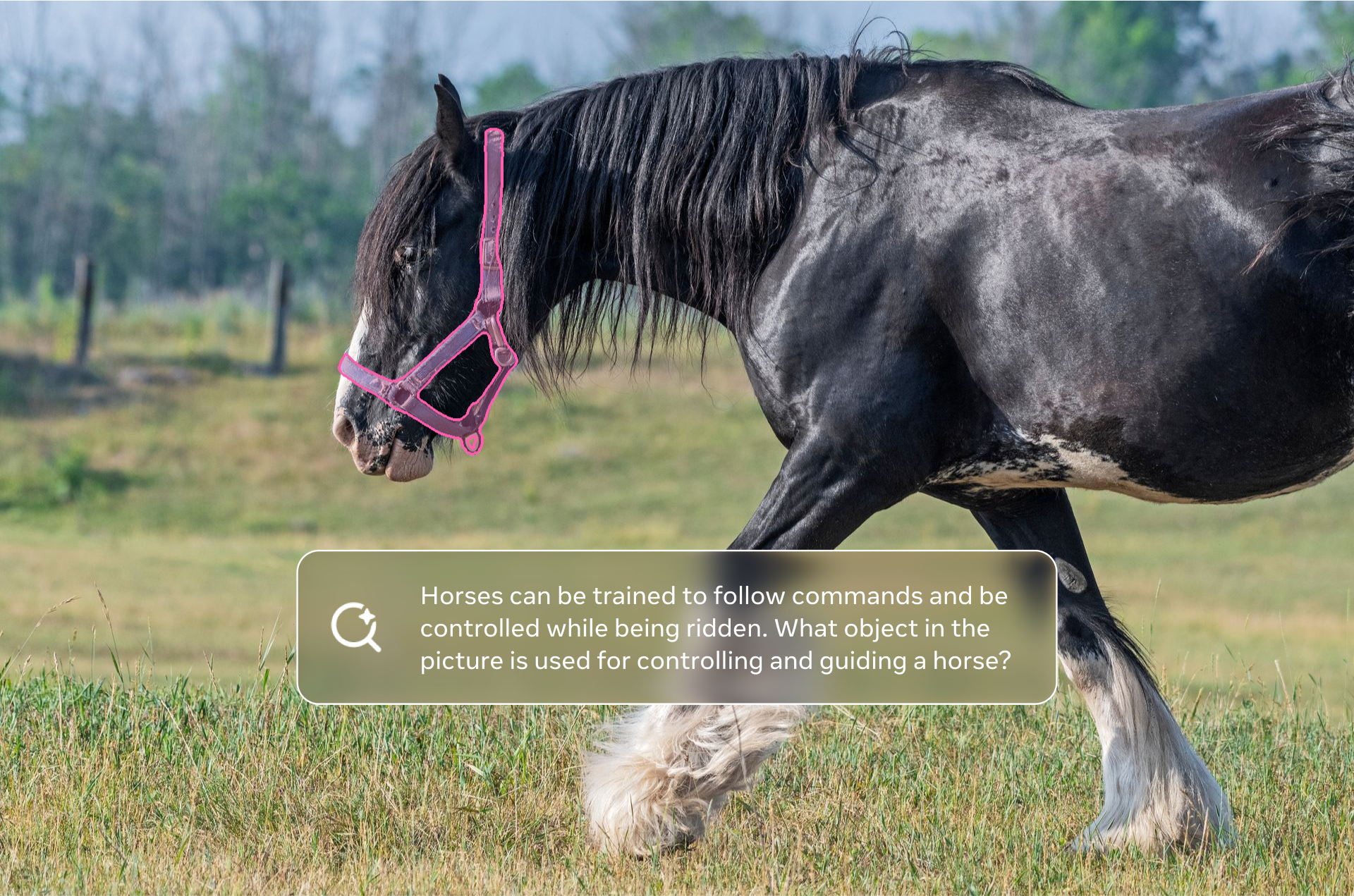 SAM 3 & 3D - Main product screenshot demonstrating key features and user interface