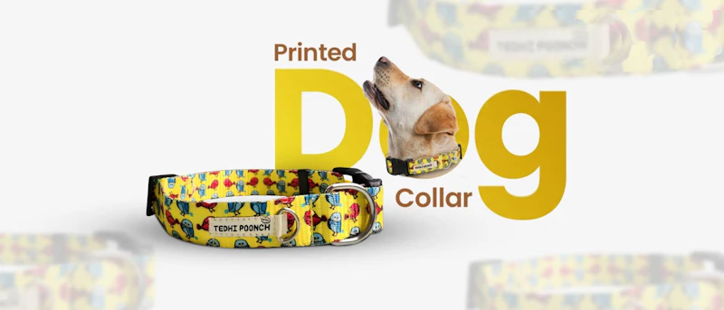 Best Dog Accessories available in India screenshot 3