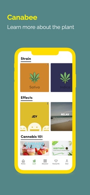 Canabee gallery image