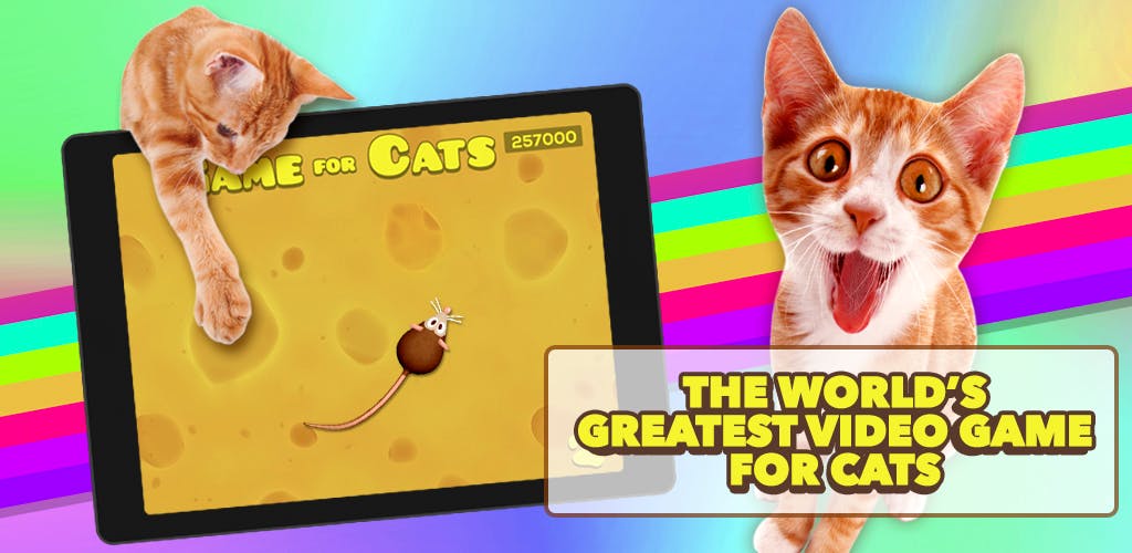 Game for Cats media 3